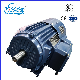  Yvf2 Series Three-Phase Asynchronous Motor Directly Sold by The Manufacture Yvf2-250m-4