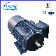  Yvf2 Series Three-Phase Asynchronous Motor Directly Sold by The Manufacture Yvf2-100L1-4