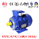  1hma-Ie1 (EFF2) Series Aluminum Housing Asynchronous Electric Motor with 8pole-2.2kw