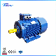 Ye3200L1-2 High Efficiency Electric Motor Three-Phase Asynchronous Motor-2 Electrical Motor