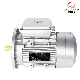 Ml Series Single Phase Dual- Capacitor Induction Motor manufacturer
