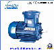 Yb2 Series 1.5kw Three Phase Explosion Proof Electric Motors Ce/Exdii Bt4 manufacturer
