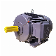  Low Voltage AC Electric Induction Motor with S1 & B3 for Industrial Structure