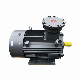 Siemens Flameproof/ Explosion Proof Three Phase AC Motor for Water Pump