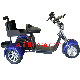 Promotion Hot Sale Luxury 2 Seater Electric Club Car Golf Carts Scooter Made in China 3 Fat Tires Electric Golf Scooter Electric Golf Car for Golf Club