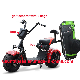 2 Wheels Golf Scooter Electric Motorcycle Golf with 2 Bags for Golf Club