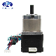 NEMA 8, 11, 14, 16, 17, 23, 34, 43 Electric Stepping Stepper Gear Motor with Planetary Gearbox Geared Motor