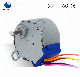  Professional 2-2 Phase Synchronous Motor for Cutting-up Machine