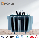 Honle S9m Three Phase Outdoor Type Power Distribution Electrical Oil Immersed Transformer