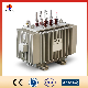 25kv Oil Immersed Distribution Power Transformer with Customized Service