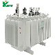 3 Phase 11kv 13.2kv Oil Immersed Power Transformer with IEC IEEE ANSI