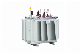 11/0.4kv 33/0.4kv 160kVA Oil Immersed Power Transformer Distribution Transformer