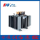  3 Phase 1250kVA Large Capacity Power Transformer Energy Distribution Transformer S11-10/0, 4