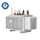 11kv /500kVA Three Phase Outdoor Type Power Distribution Electrical Transformer with Oil