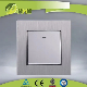 EU Standard Brushed Aluminum 10ax 1 Gang 1 Way Wall Switch