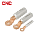 Dtl Series Naked Tube Terminal manufacturer