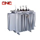 CNC Sbh15 Series 10kv Immersed Amorphous Alloy Core Distribution Transformer Level