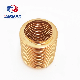 Brass Bellows Pipe Fittings for Pressure Temperature Controller
