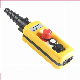 Factory Price Double Speed Single Speed 2 Push Button Crane Control with Emergency Stop
