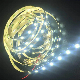 IP20 Indoor Non-Waterproof DC12V 10mm SMD5054 60 LEDs/M Flexible LED Striplight 5m/R