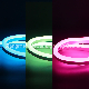 RGB 8*16 -110V/127V/220V/230V/240V LED Neon Light for LED Lighting Cinta Neon manufacturer