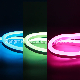 RGB 8*16 -110V/127V/220V/230V/240V LED Neon Light for LED Lighting Cinta Neon