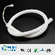 360 Degree Side Emitting LED Flexible Neon Light Strip for Lighting Decoration with 3 Years Warranty