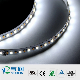  Hot Sale 3 Years Warranty Flexible Dual CCT White Warm White 2835SMD LED Strip Light