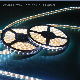 Low Voltage High Luminous 60 LEDs Rope SMD 5050 Flexible LED Striplight manufacturer