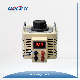  220V Adjustable Voltage Regulator Variable Transformer 2kVA Variac