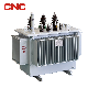 CNC Efficient and Energy- Saving Low Low Voltage Windings Loss Sbh15 Distribution Transformer manufacturer