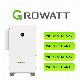 Growatt Wit 40ktl3-a XL Wit 40ktl3-a-Ep XL MPPT on Grid Commercial & Industrial PV Solar Power AC-Coupled Inverters Price manufacturer
