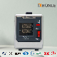 Honle Der Series Universal Automatic AC Voltage Regulator/Stabilizer