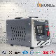  Honle Der Relay Type Automatic Voltage Regulator Stabilizer 5000va