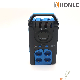  Honle Pr Portable Automatic AC Voltage Stabilizer for Potable Power Supply