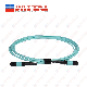  Om3 300 48 Core Type a Type B Type C MPO MTP Trunk Cable Patch Cord
