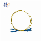 Htmicrowave Original Factory FTTH FC Sc LC Upc St Single Mode Fiber Optic Patch Cord 2.0mm 3.0mm