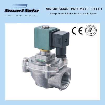 Scg353A044 Economic Type G1" Solenoid Pulse Valve