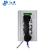 Hot Sell SIP Phone Cold-Rolled Steel Public Phone with LCD