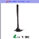 Diffrent Style with High Gain Indoor TV Antenna Auto DVB-T Antenna