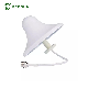  Hot Sale to Gain Multi Band GSM Directional Roof Antenna Ceiling Antenna