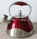 Stainless Steel Kitchenware Set on TV Selling 3.0 Liter Stainless Steel Tea Kettle in Silicon Handle and Ss Handles manufacturer