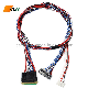  Custom Cable VGA Lvds Converter Connector Wire Harness Assembly Assembly Cable