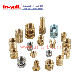 Brass Knurled Threaded Insert Nut for China Manufacturer