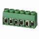 PCB Screw Terminal Block (XY167V/XY167R)