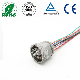 9pin with Wire Auto Electrical Waterproof Housing Connector Accessories HD16-9-96s