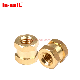  DIN16903 Brass Hex Head Molded-in Threaded Insert