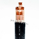  High Quality Copper/Aluminum Conductor PVC Insulated Fire Resistant Power Cable for Instrument