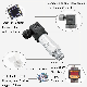 Wtsensor OEM 0.5%Fs 4-20mA Piezoresistive Air Fuel Oil Water Universal Pressure Transmitter