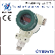 Cyb0515 Flat Diaphragm Digital Display Pressure Transmitter manufacturer